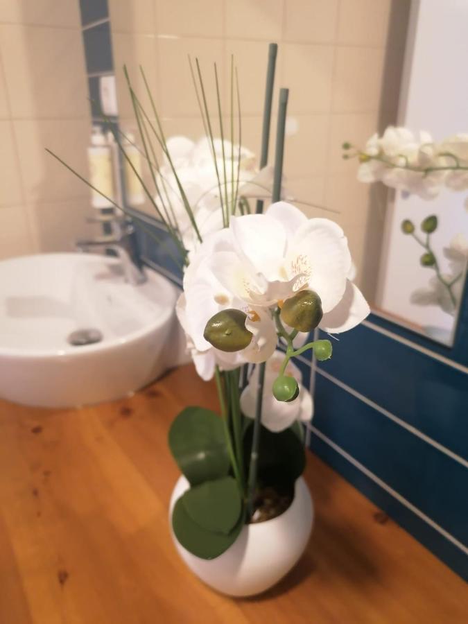 Apartamento Graciosa - Sta Catarina Place Ponta Delgada Dış mekan fotoğraf
